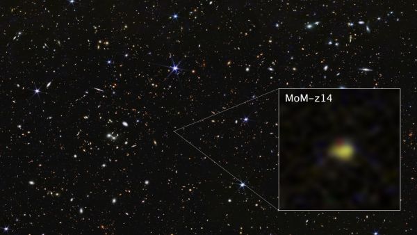James Webb Reveals Hidden Stars That Make Primordial Galaxies Much More Massive